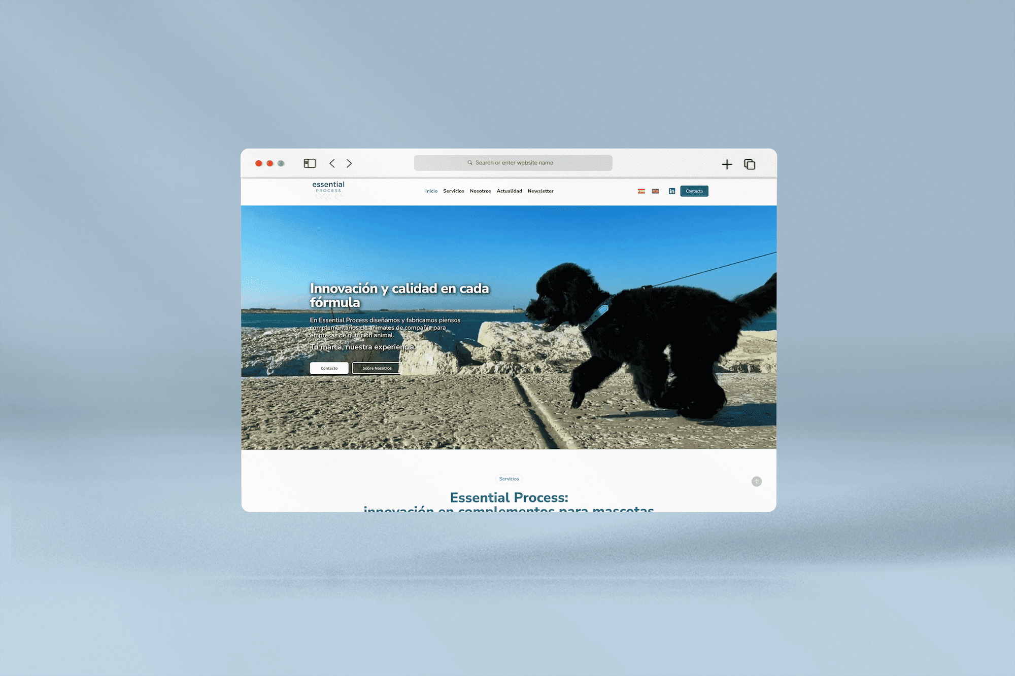 portfolio-essential-web (1)